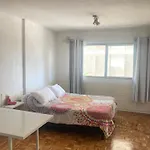 Fun Fun Apartment